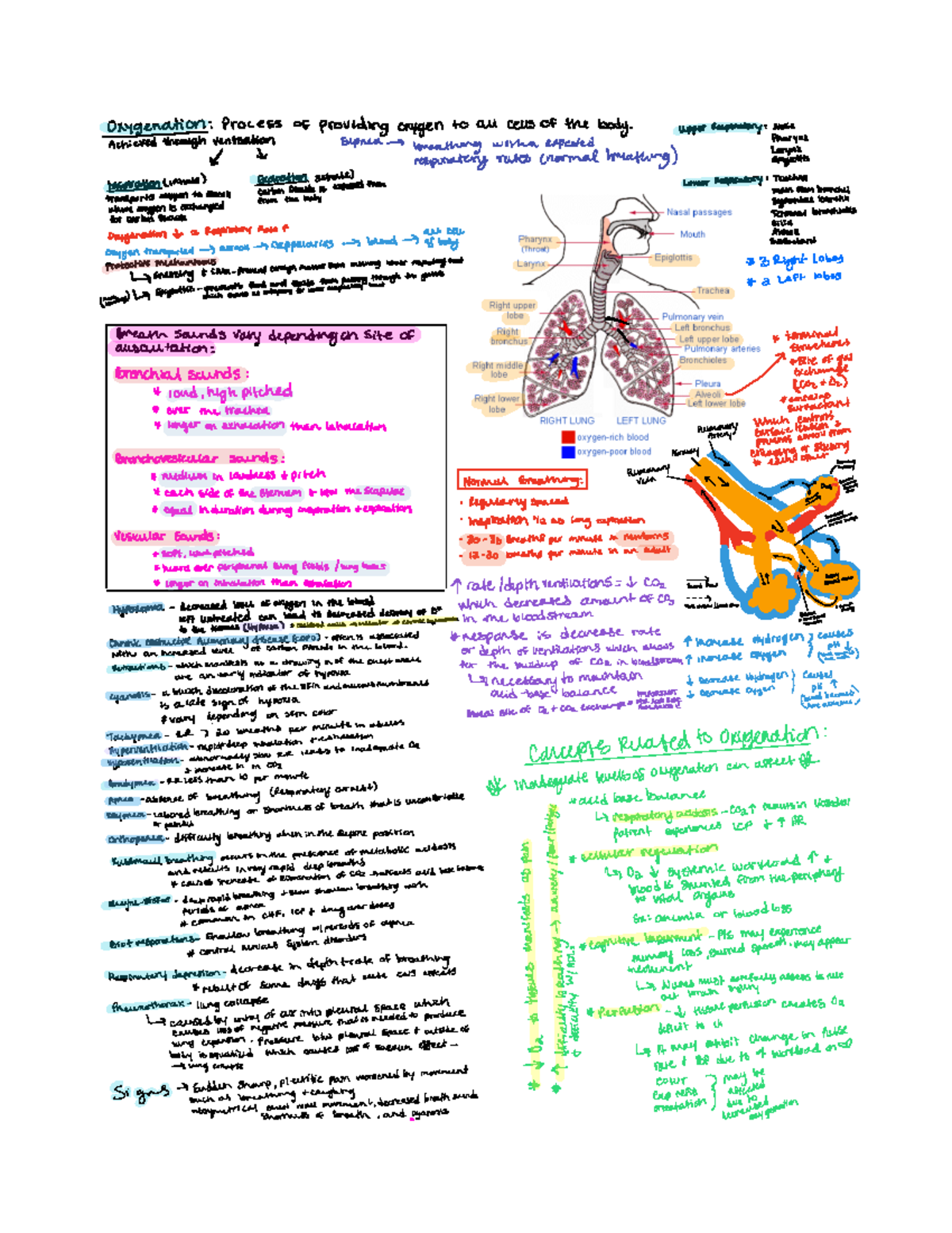 Oxygenation lecture notes - NUR 212 - Guilford Tech - StuDocu