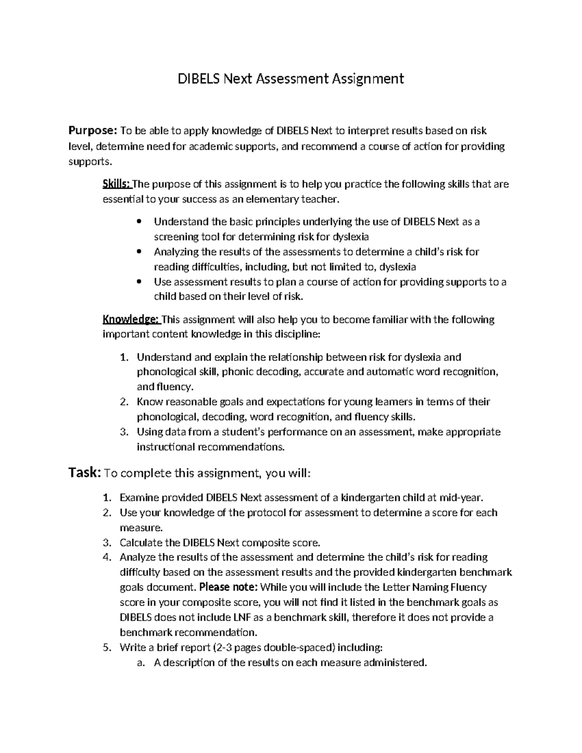 Dibels Next Assessment