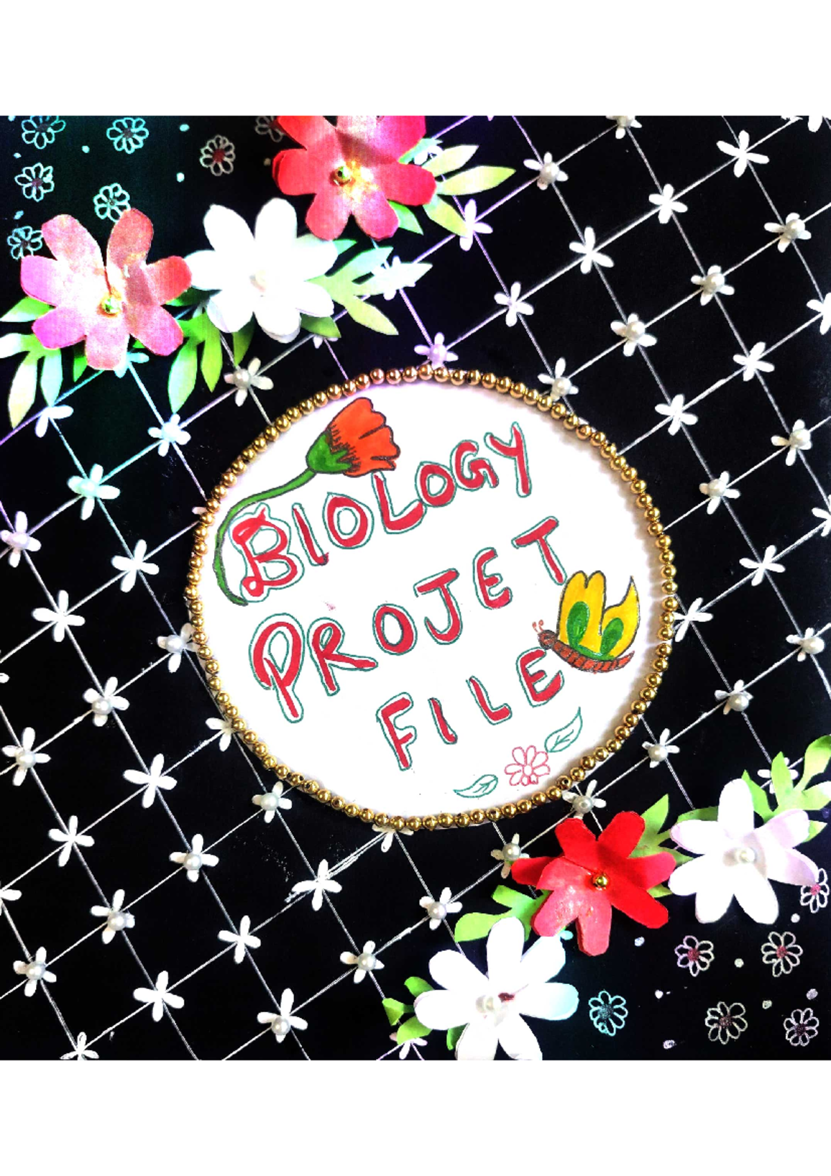 Biology project 2024 - BIOLOGY PROJET FILEWE BIOLOGY PROJET FILEWE ...