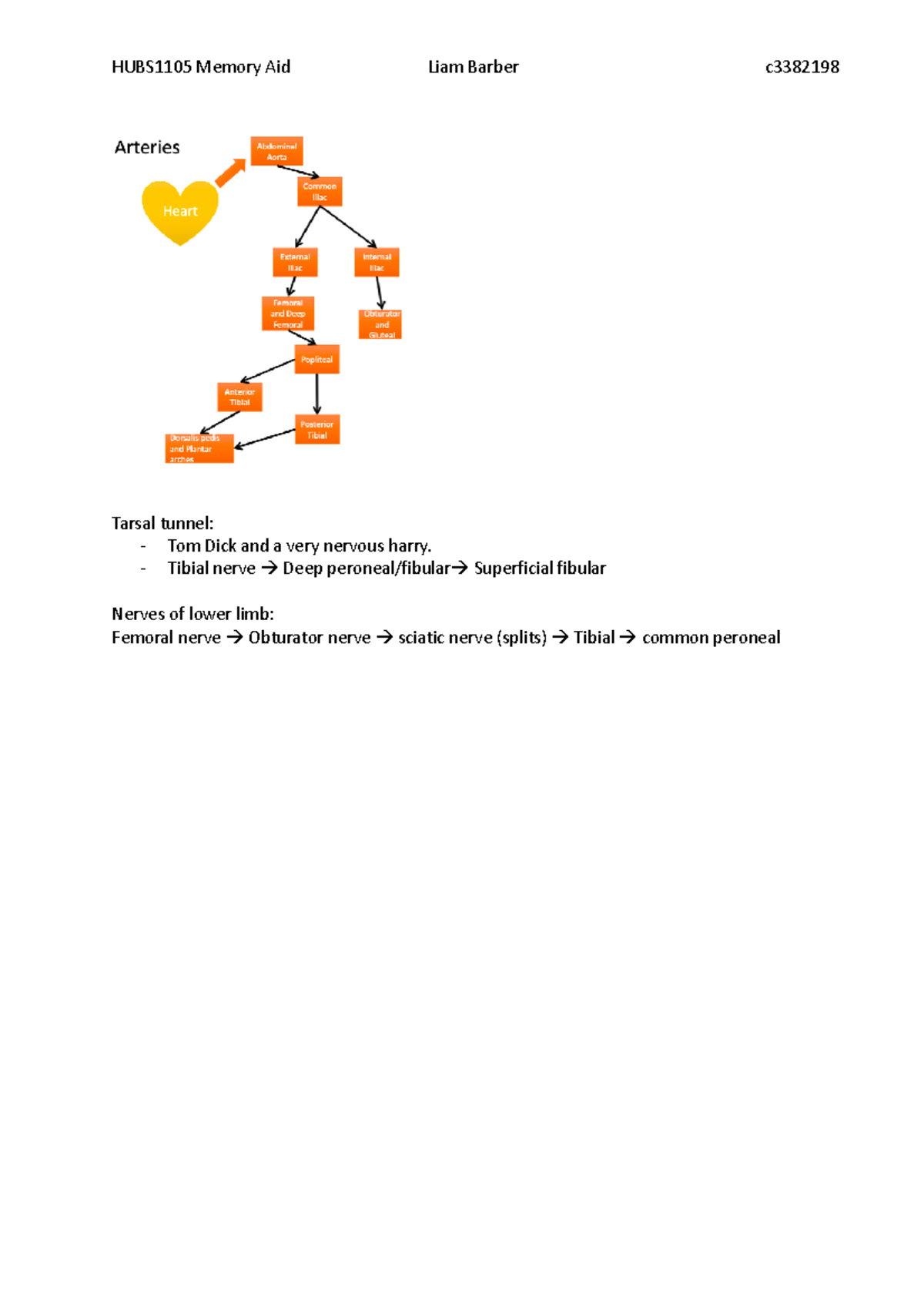 Hubs1105 memory aid - HUBS1105 Memory Aid Liam Barber c Tarsal tunnel ...