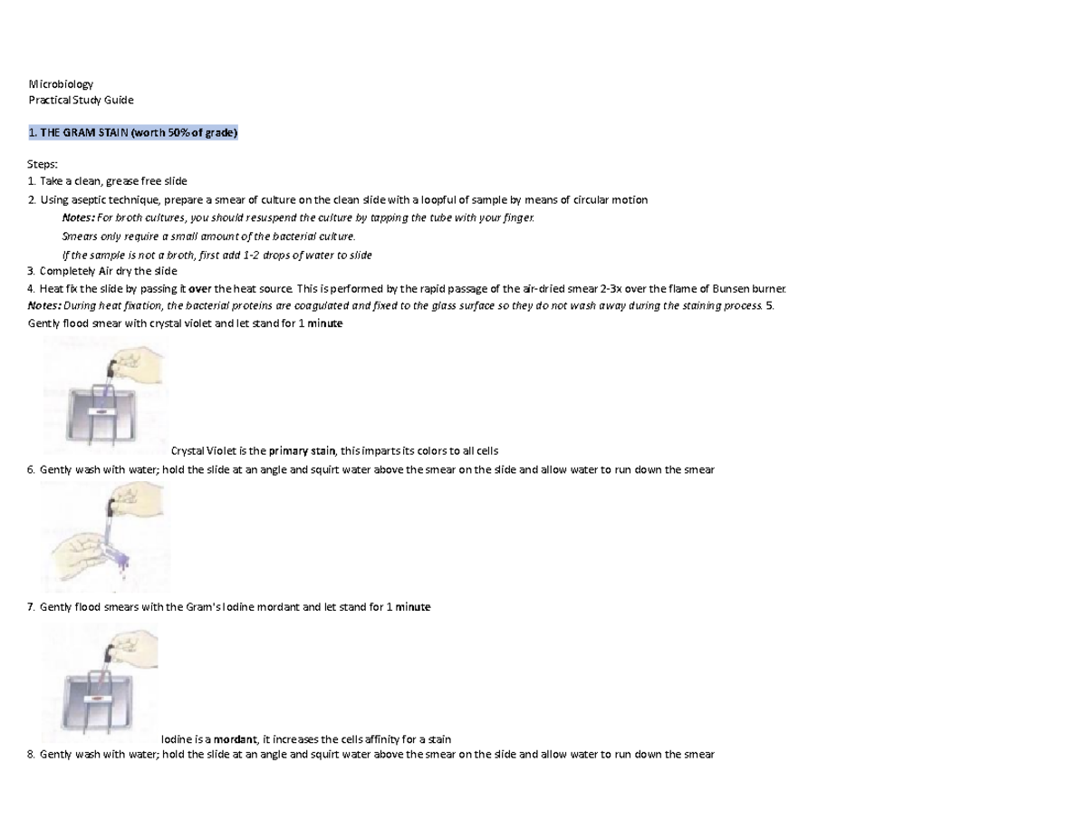 Microbiology Lab-Practical-Study Guide - Microbiology Practical Study ...