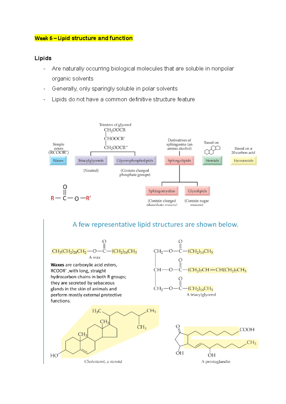 Week 6 Lipid structure and function Week 6 Lipid structure and