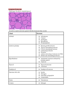 Lab 8 Blank Answer Sheet for Digestion II - Answer Sheet for Lab 8 ...