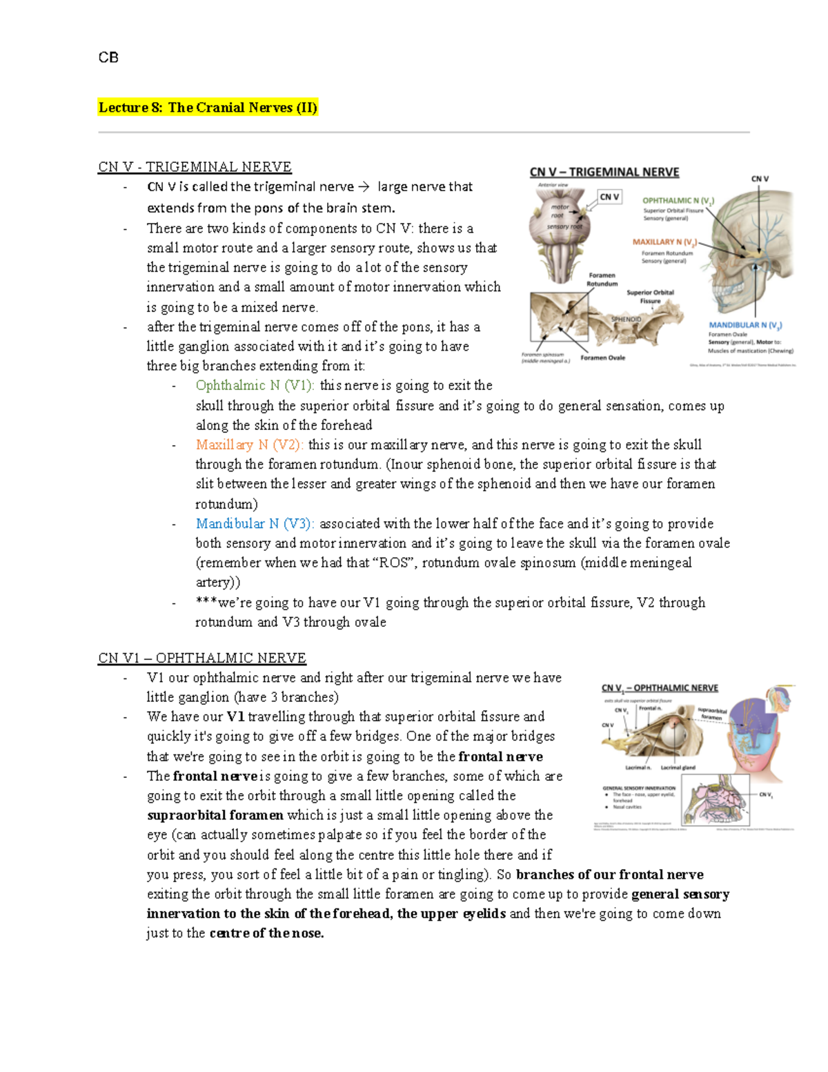 L8 - Dr. Ventura - Lecture 8: The Cranial Nerves (II) CN V - TRIGEMINAL ...