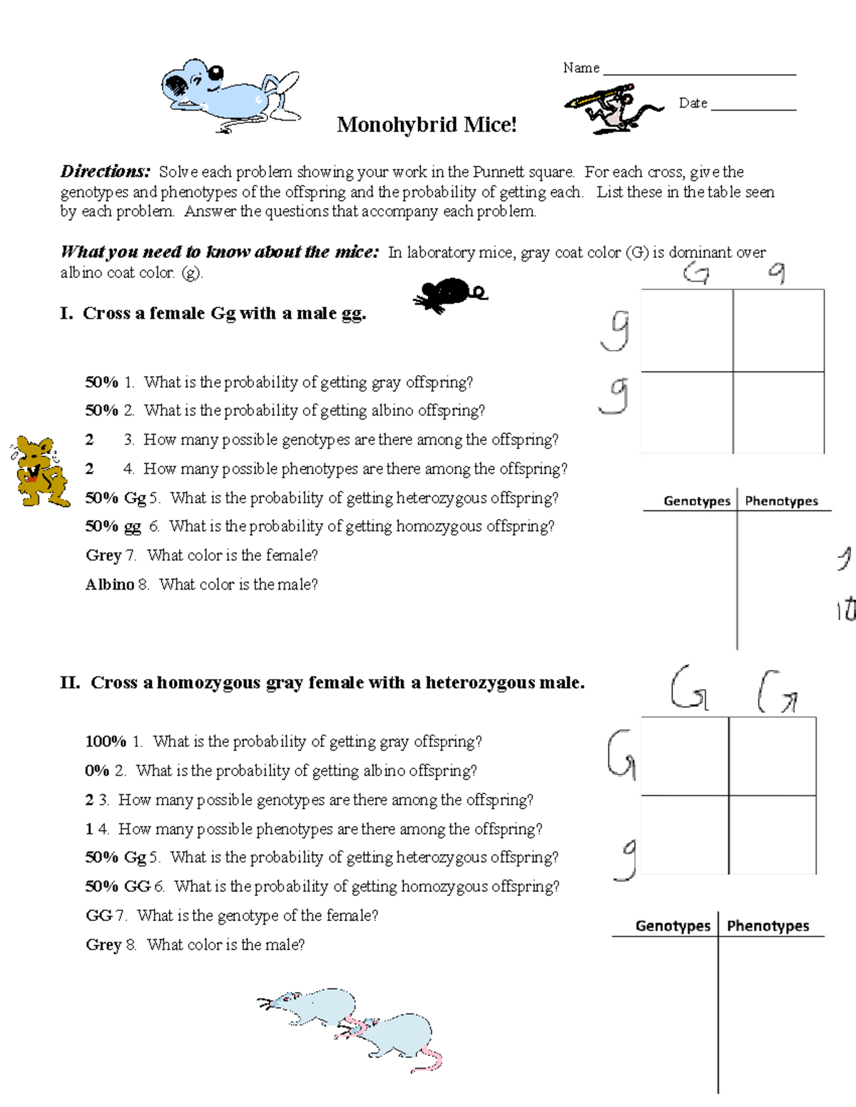 Monohybrid Mice - Name Date ______ Monohybrid Mice! Directions: Solve -  Studocu