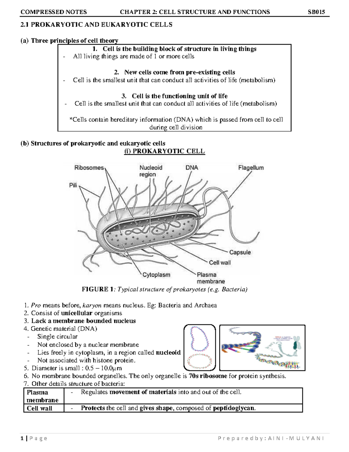 2 compressed notes Cell structure and functions sds - 2 PROKARYOTIC AND ...