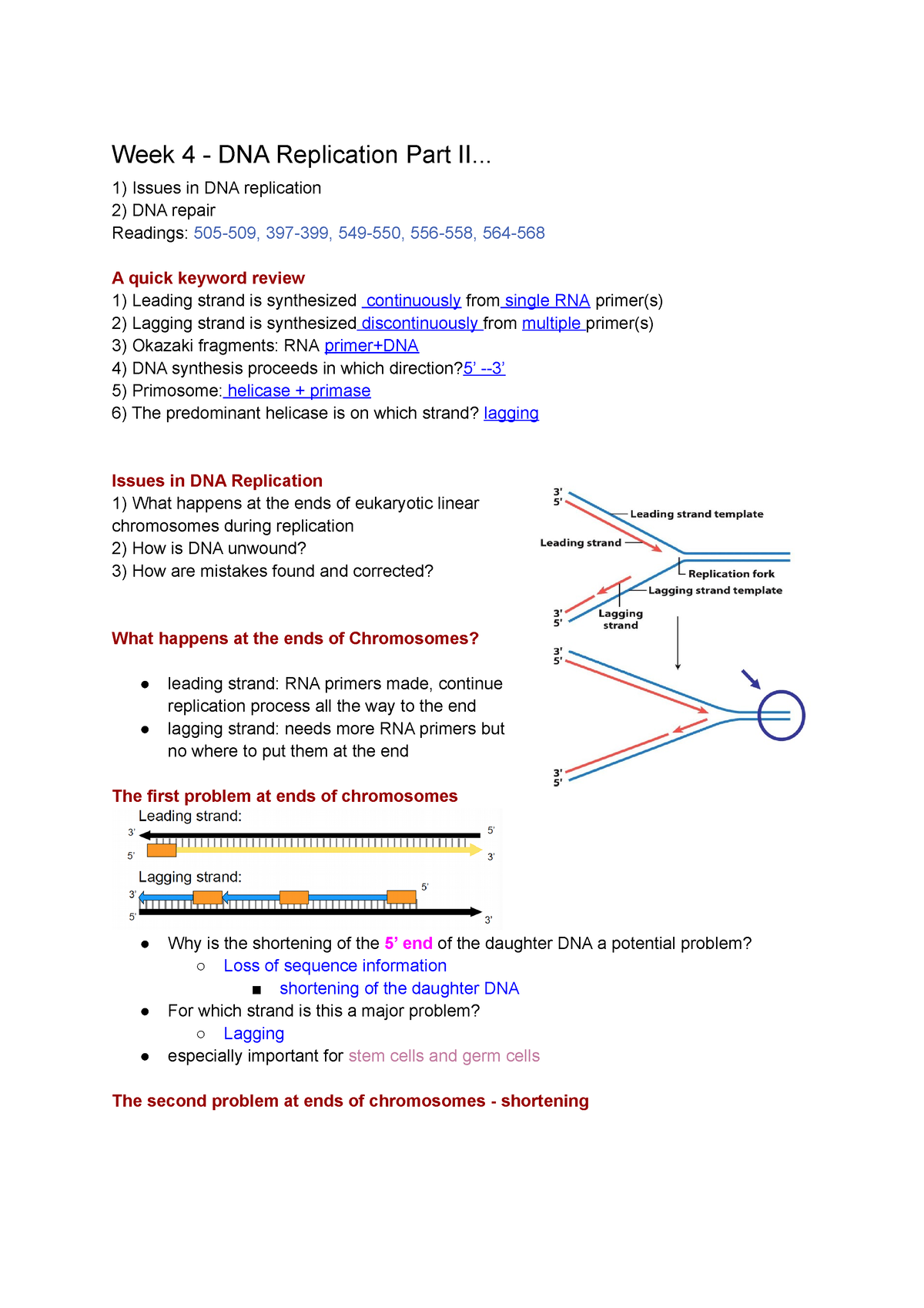 Week 4 － Dna Replication Part 2 Week 4 Dna Replication Part Ii Issues In Dna Replication