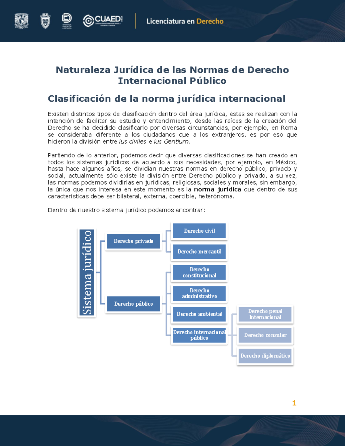 Naturaleza Jurdica De Las Normas De Derecho Internacional Publico