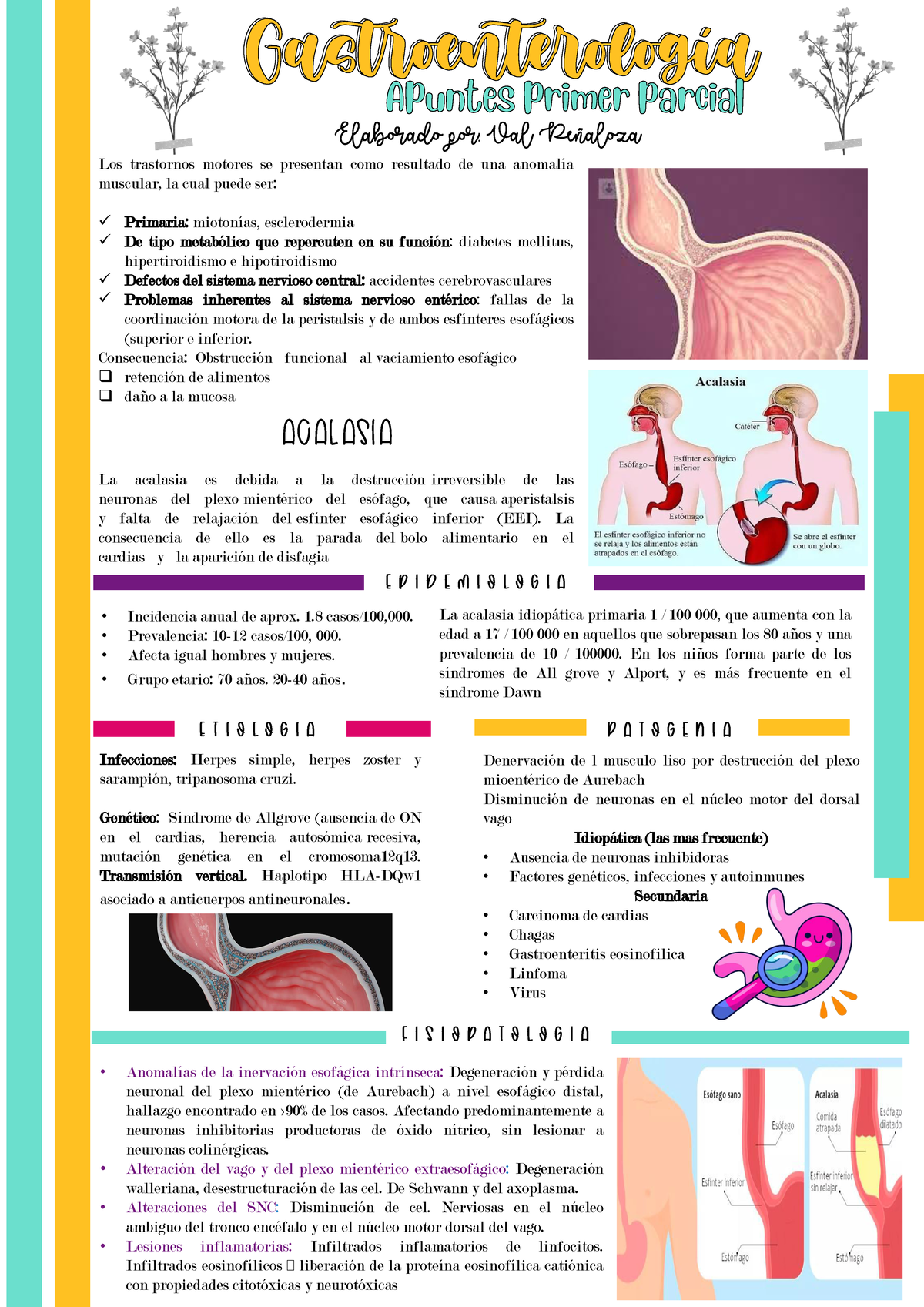 Acalasia Resumen Definicion Etiologia Cuadro Clinico Dx Tx Complicaciones Y Prevencion