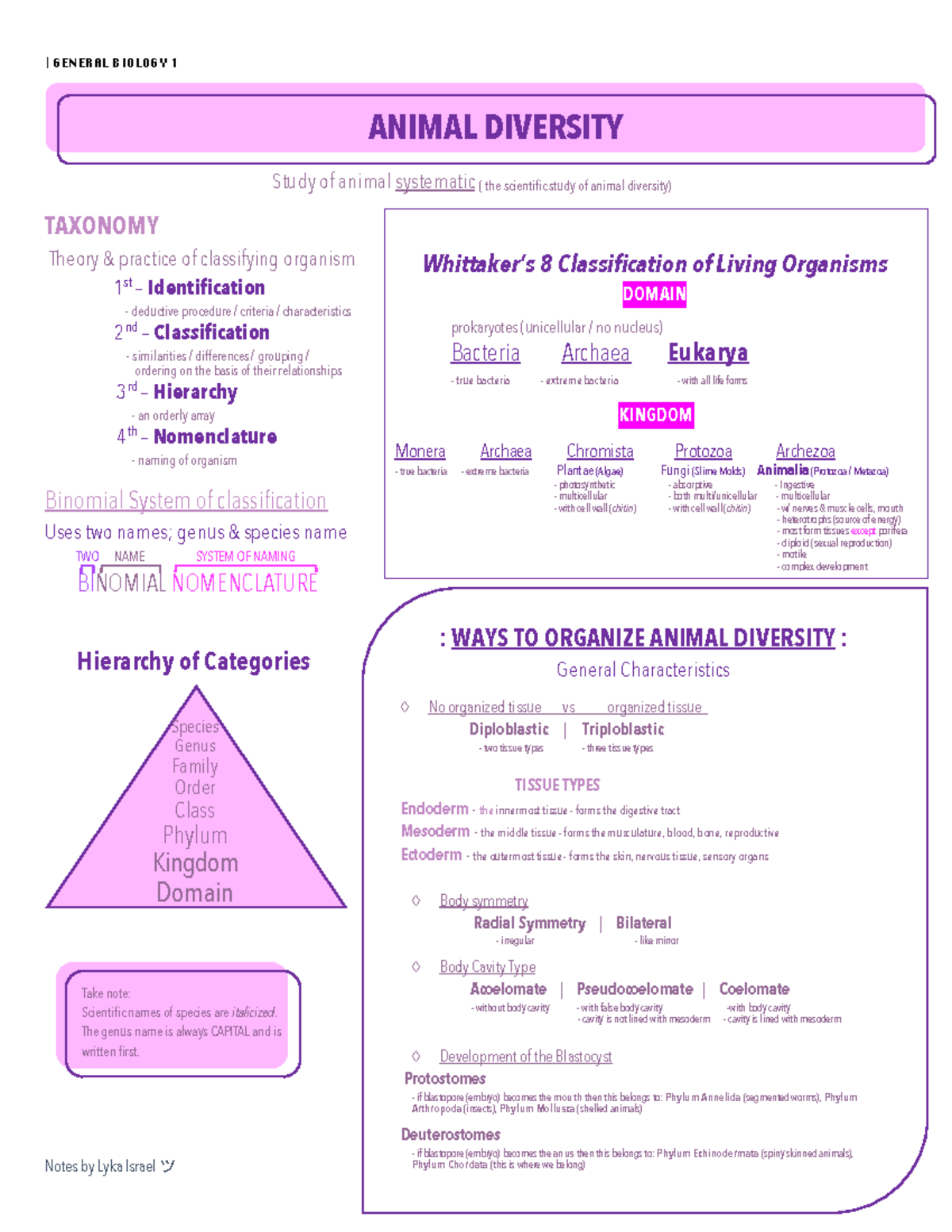 Animal Diversity - Lecture notes 1 - Warning: TT: undefined function ...