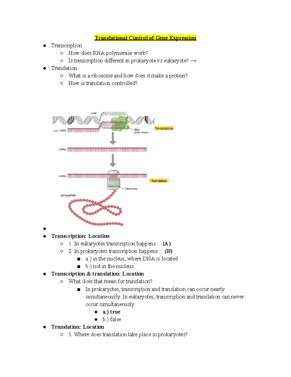 Bio Lecture 19 Translational Control of gene expression 11 5 ...