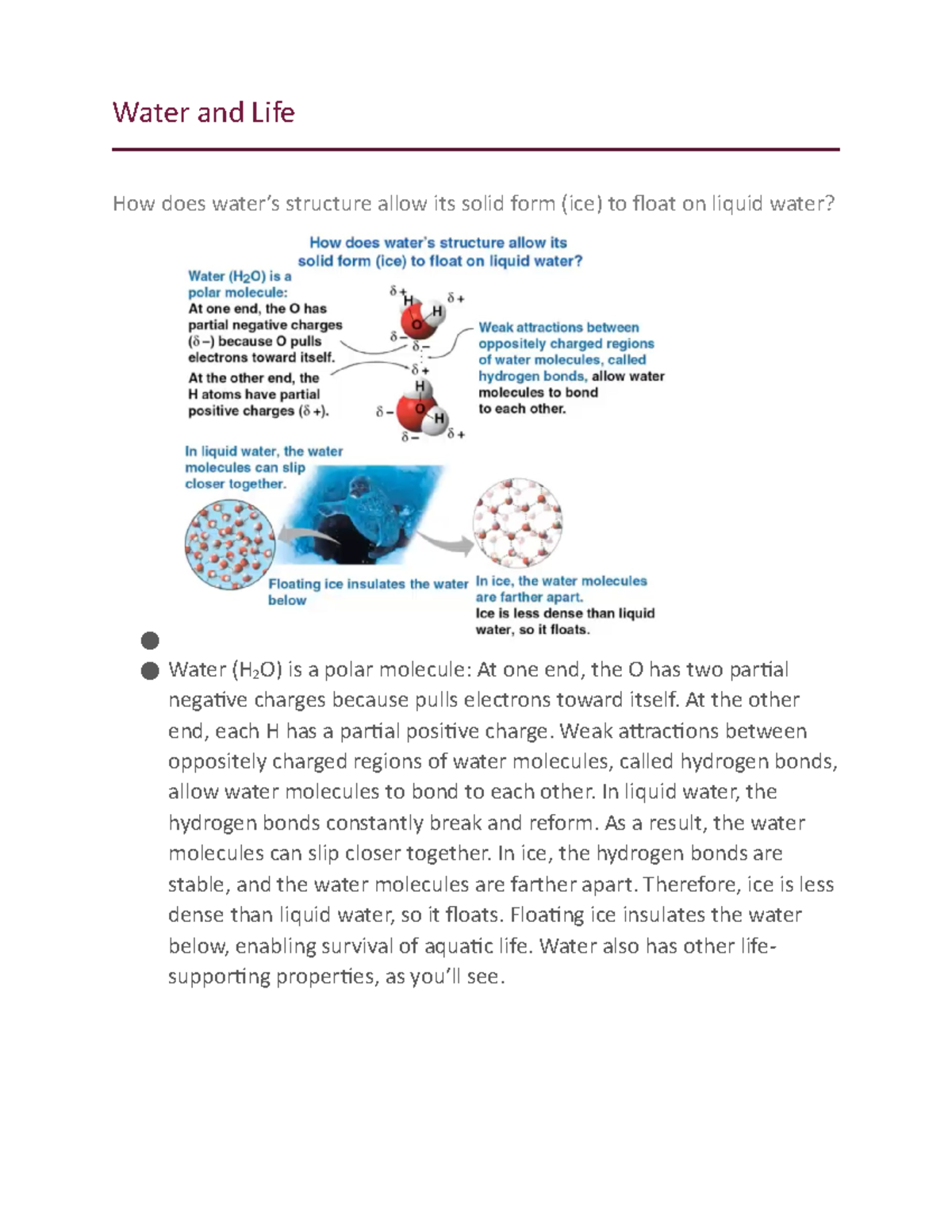 Chapter 3 - Water and Life How does water’s structure allow its solid ...