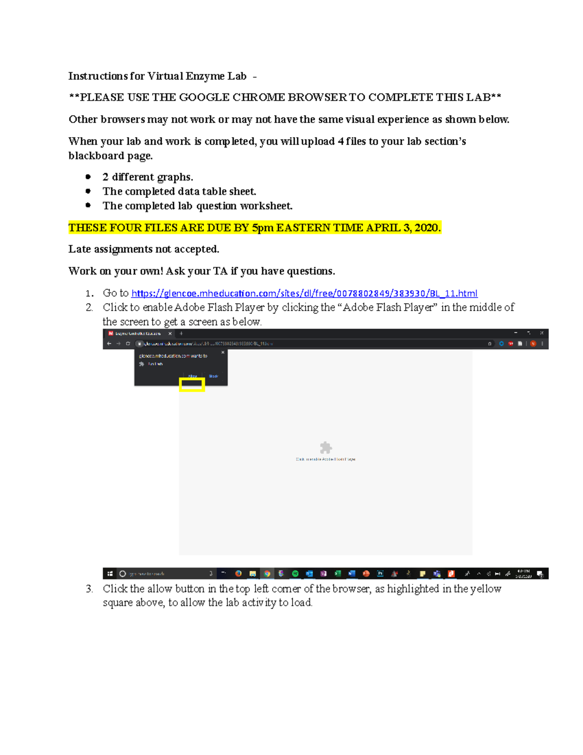 Instructions for Virtual Enzyme Lab When your lab and work is