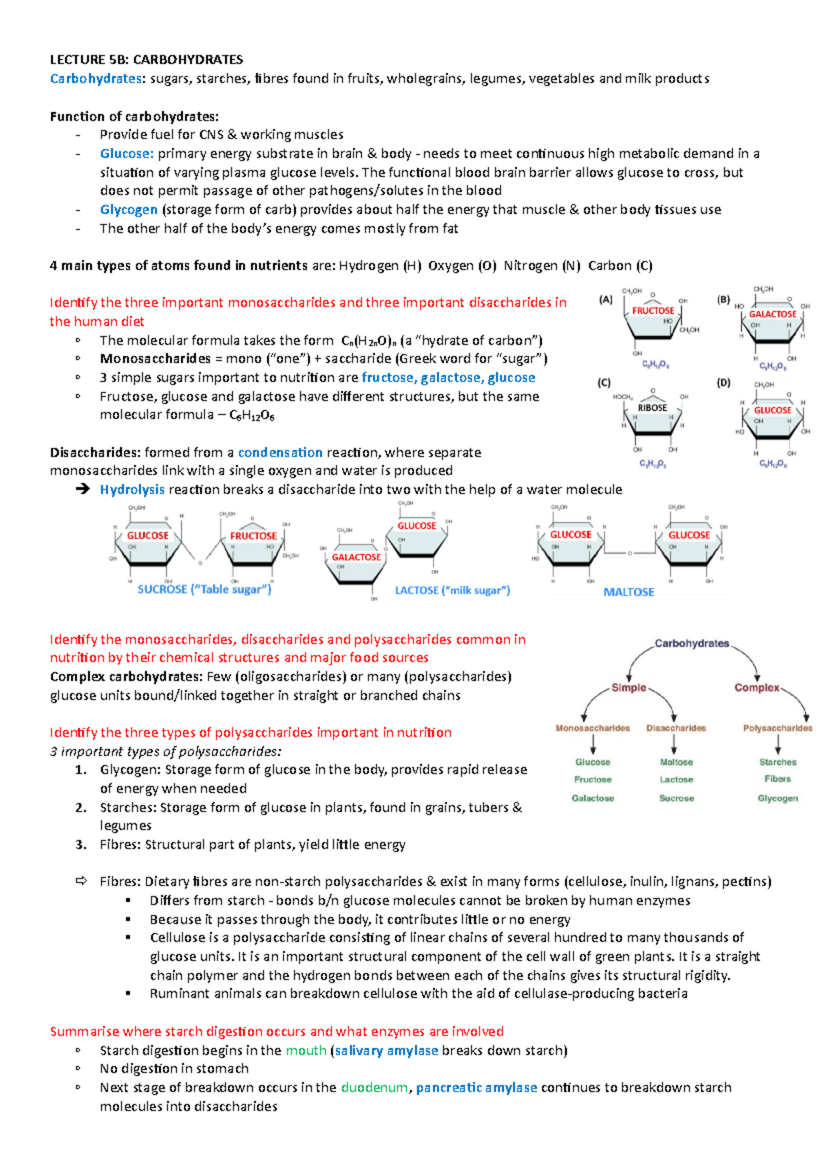 Week 5 Lecture Notes Part 2 Carbohydrate Digestion - LECTURE 5B ...