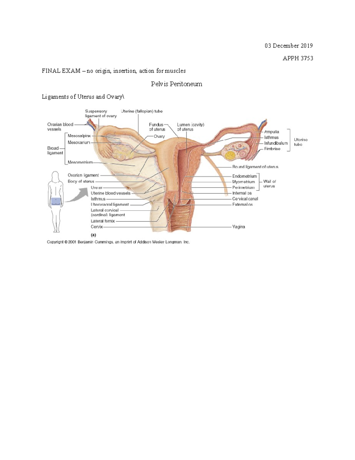 03 December - Pelvis Peritoneum and Head and Neck - 03 December 2019 ...