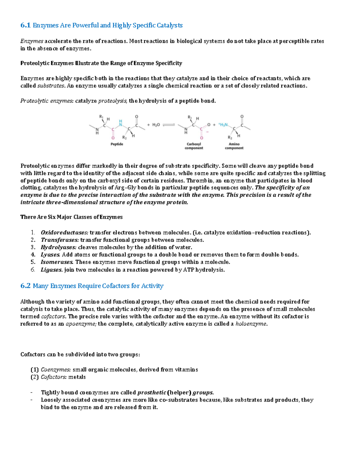 Chapter 6 Basic Concepts of Enzyme Action 6 Enzymes Are Powerful