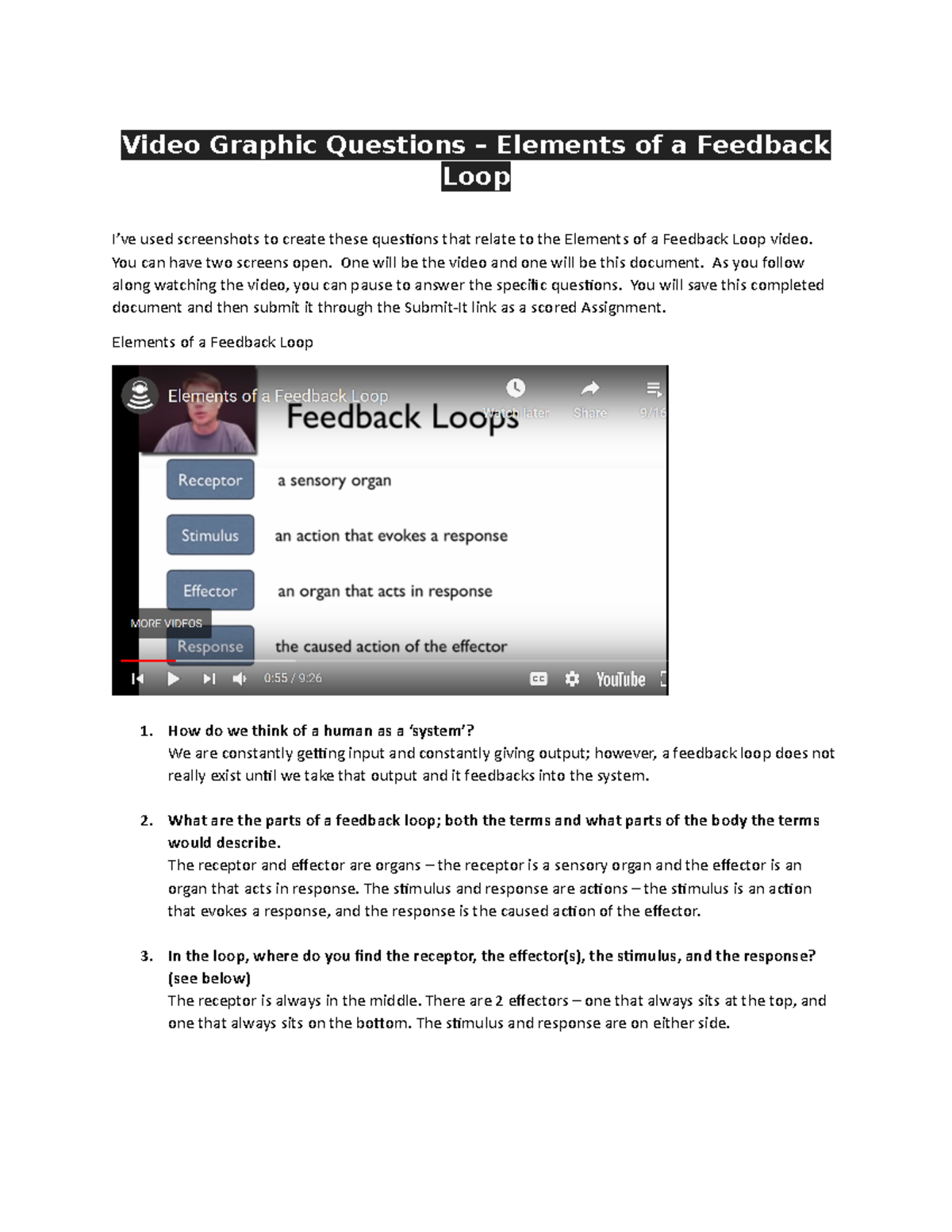 Lab 4, Pt 2 - Elements of a Feedback Loop - Video Graphic Questions ...