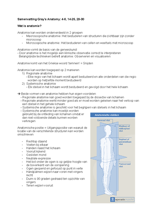 van-wiechenschema-ontwikkelingsonderzoek-van-wiechen