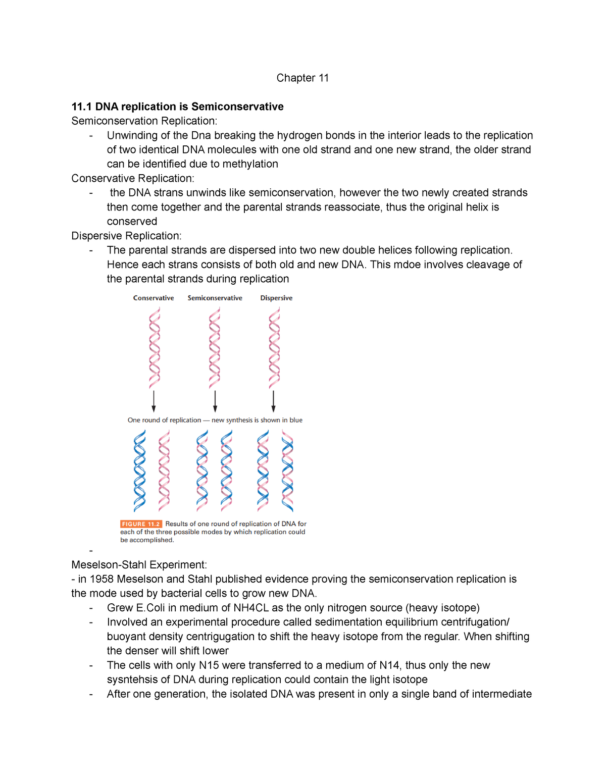 Chapter 11 - Chapter 11 11 DNA replication is Semiconservative ...