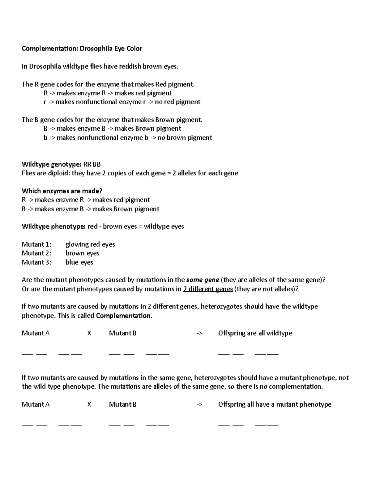 Complementation Worksheet Complementation Drosophila Eye Color In Drosophila wildtype flies