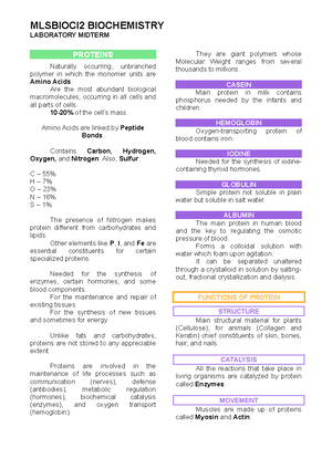 Mlsbioci 2 LECT Notes - LECTURE MIDTERM PROTEINS Short chains of Amino ...