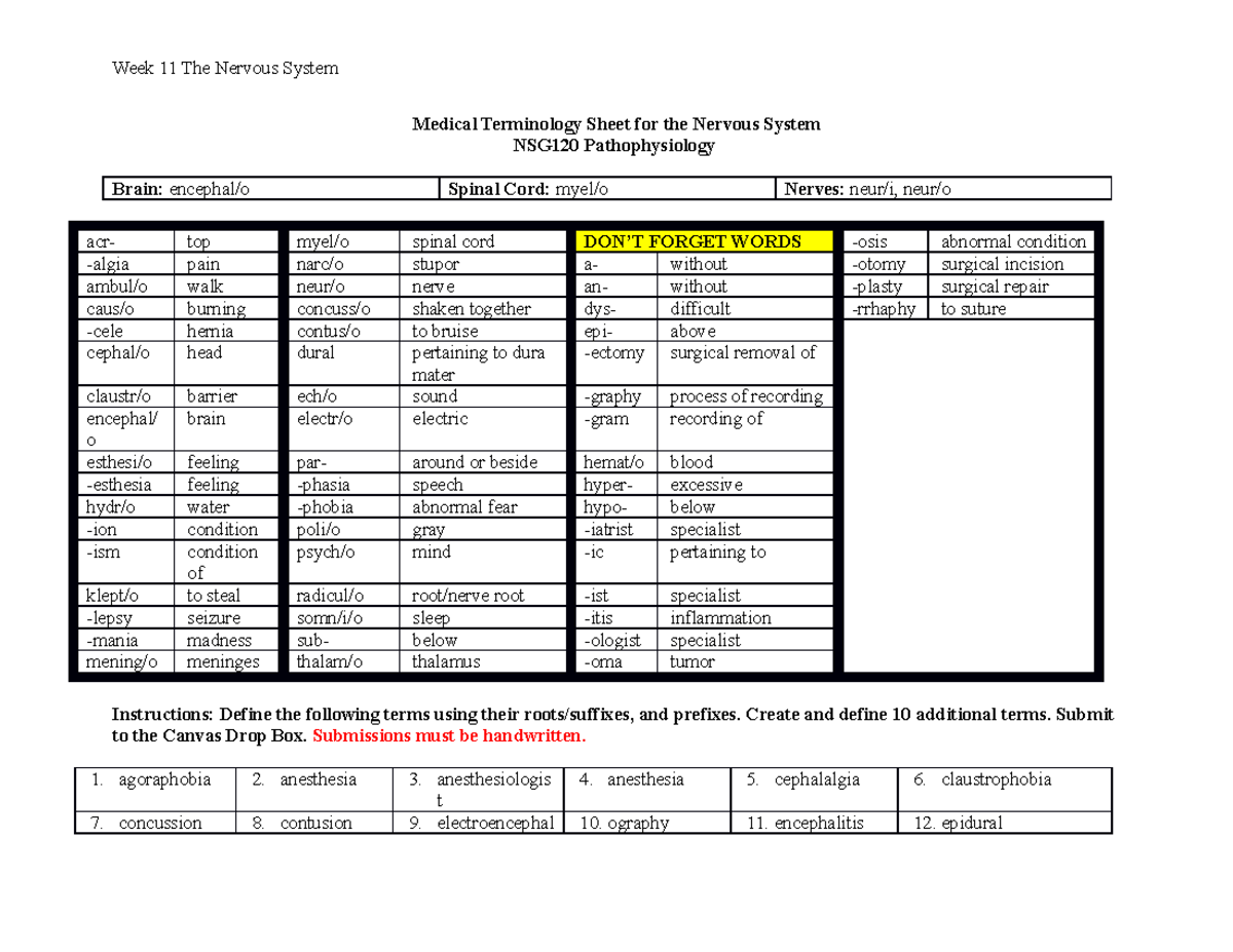 module-11-medical-terminology-sheet-for-nervous-system-2022-week-11