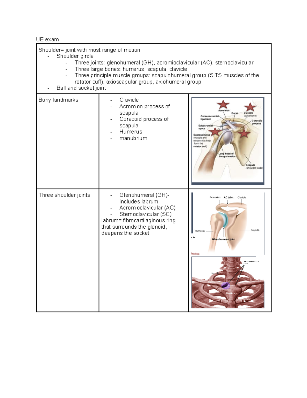 MSK Physical Exam UE exam Shoulder= joint with most range of motion