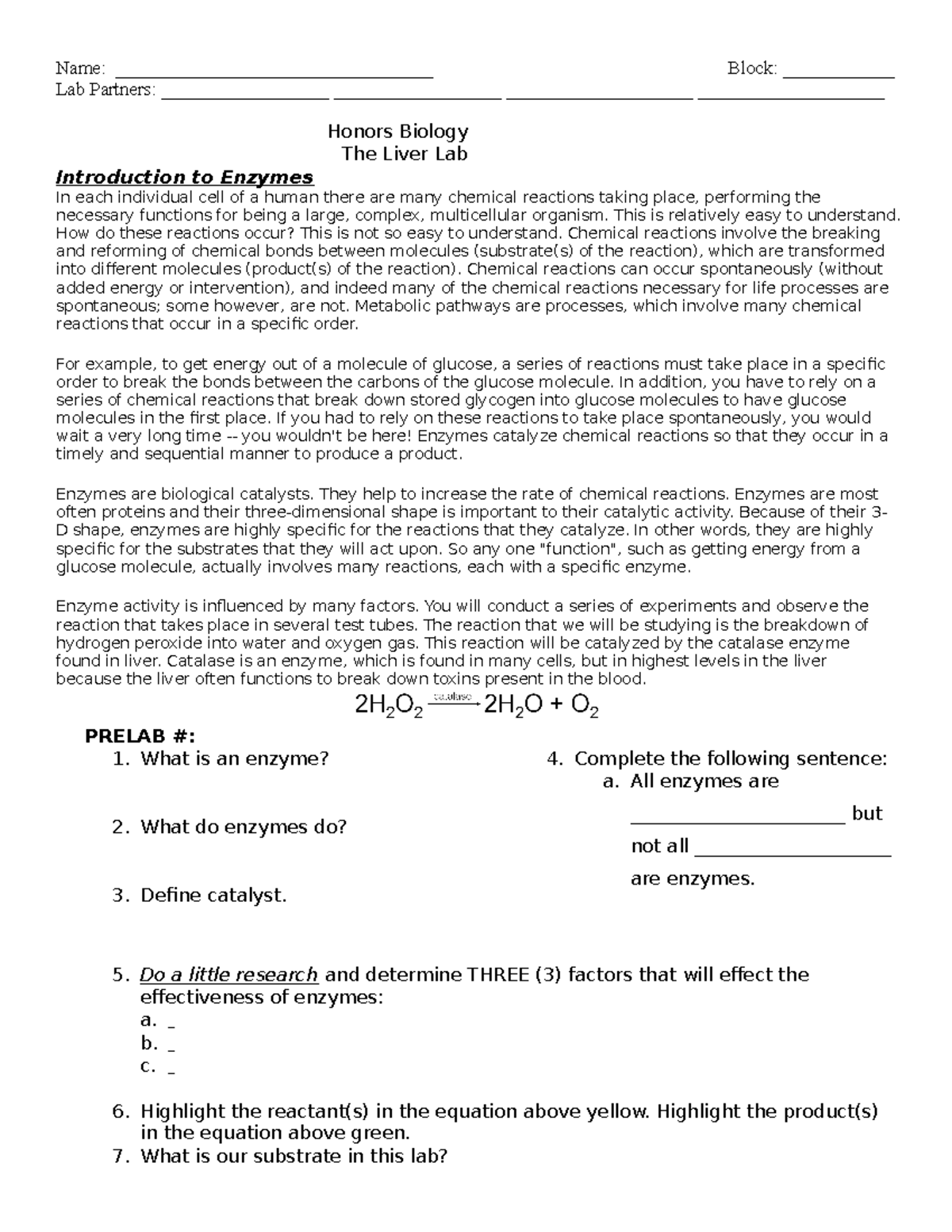 Enzyme Liver Lab Honors 2013 Studocu