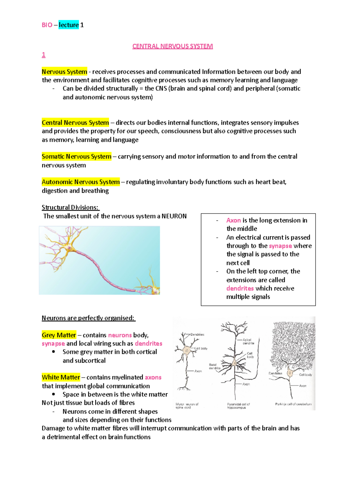 BIO lec 1 CNS - Lecture notes from week 1 - BIO – lecture 1 CENTRAL ...