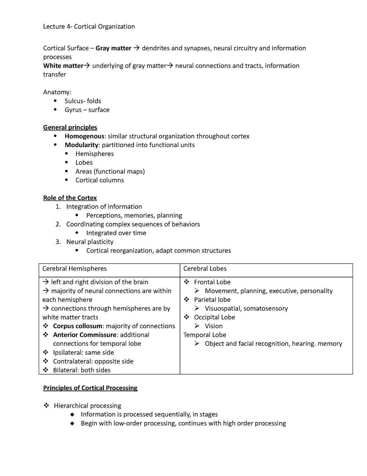 Cortical Surface - lecture notes - Lecture 4- Cortical Organization ...