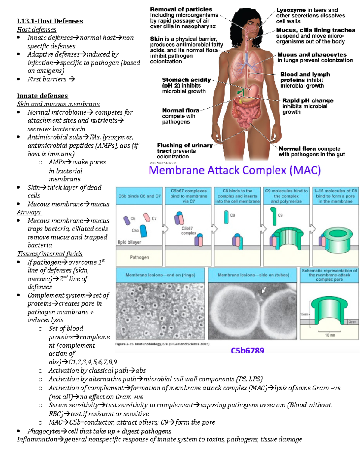 L13 - Lecture notes 13.1 - L13-Host Defenses Host defenses Innate ...