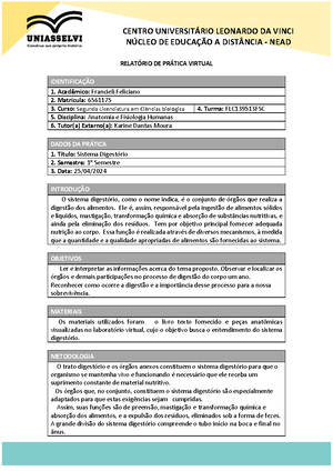 Anexo B Roteiro Da Entrevista - ANEXO (B) MODELO DE ROTEIRO DA ...