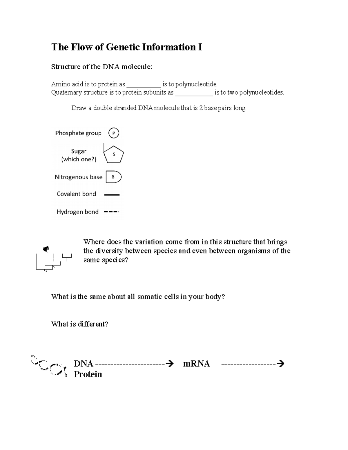 Lesson 13 Class Outline Flow of Genetic Information Part 1 - The Flow ...