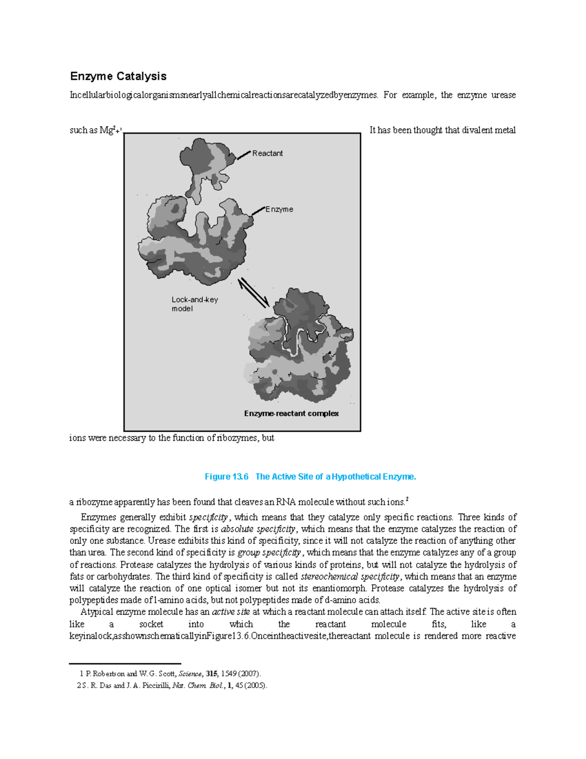 Enzyme Catalysis lecture notes, review, and answers. Enzyme