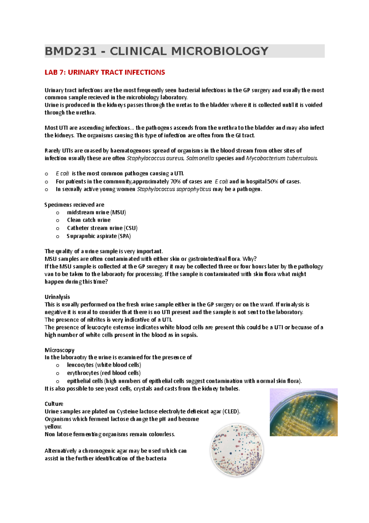 BMD231 Lab 7 URINARY TRACT INFECTIONS BMD231 CLINICAL