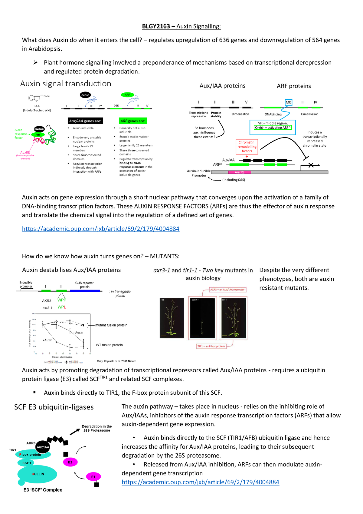 3. Auxin Signalling - Stefan - BLGY2163 – Auxin Signalling: What does ...