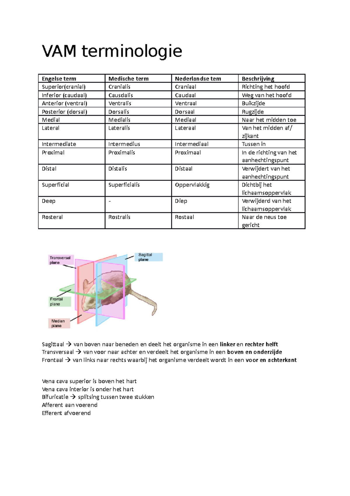 Vam terminologie VAM terminologie Engelse term Medische term
