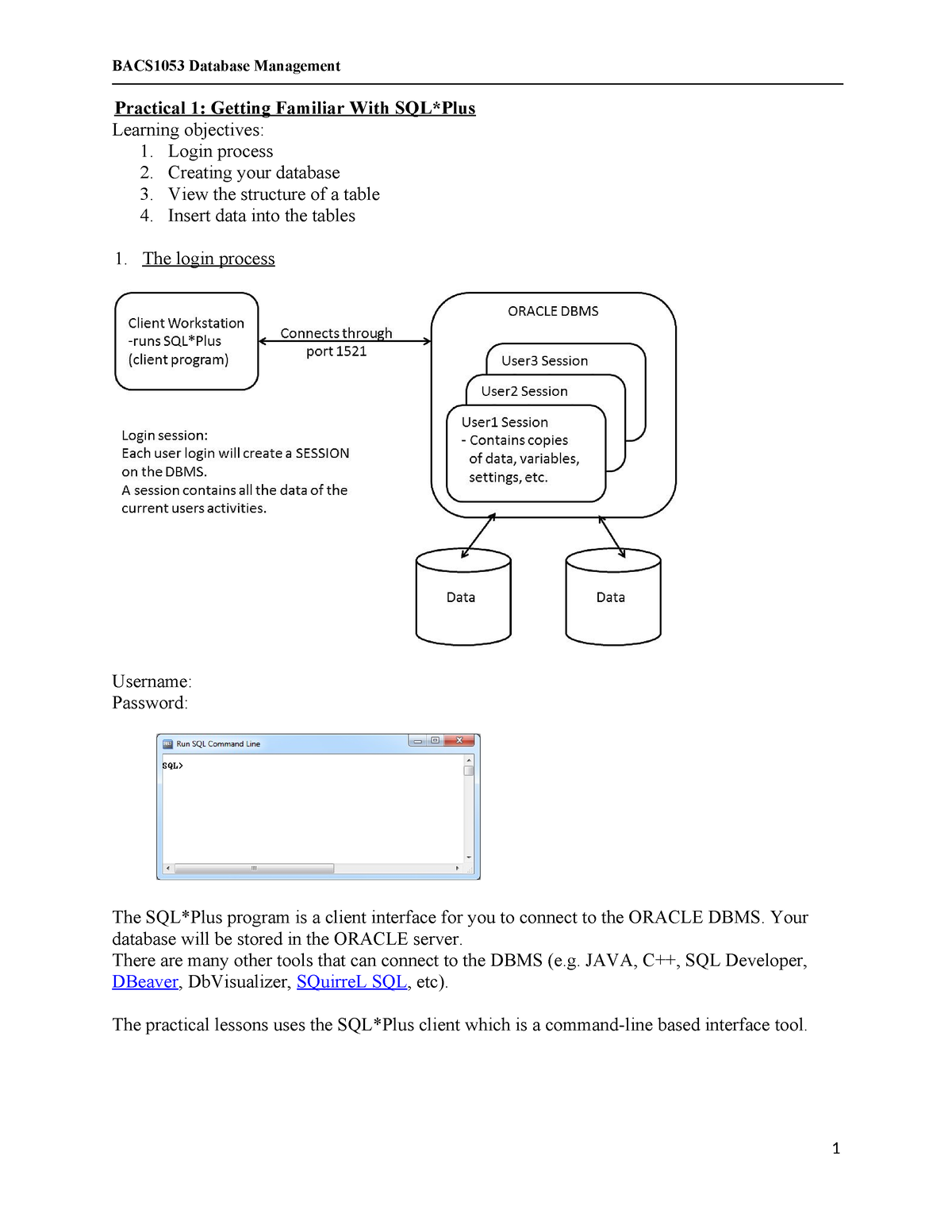 Practical 1 - Pratical - Practical 1: Getting Familiar With SQL*Plus ...