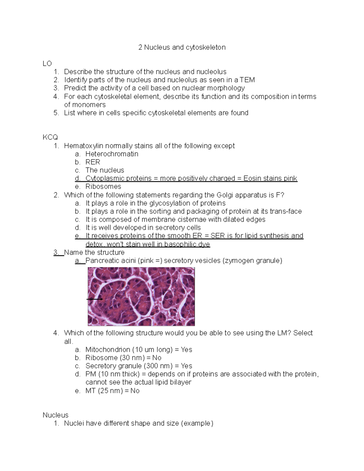 2 Nucleus and cytoskeleton - 2 Nucleus and cytoskeleton LO Describe the ...