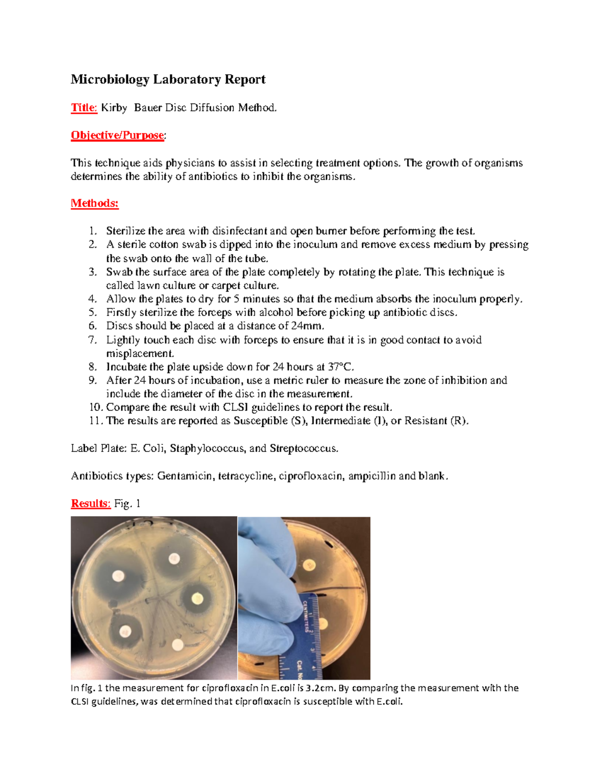 Kirby Lab Microbiology Laboratory Report Title Kirby Bauer Disc
