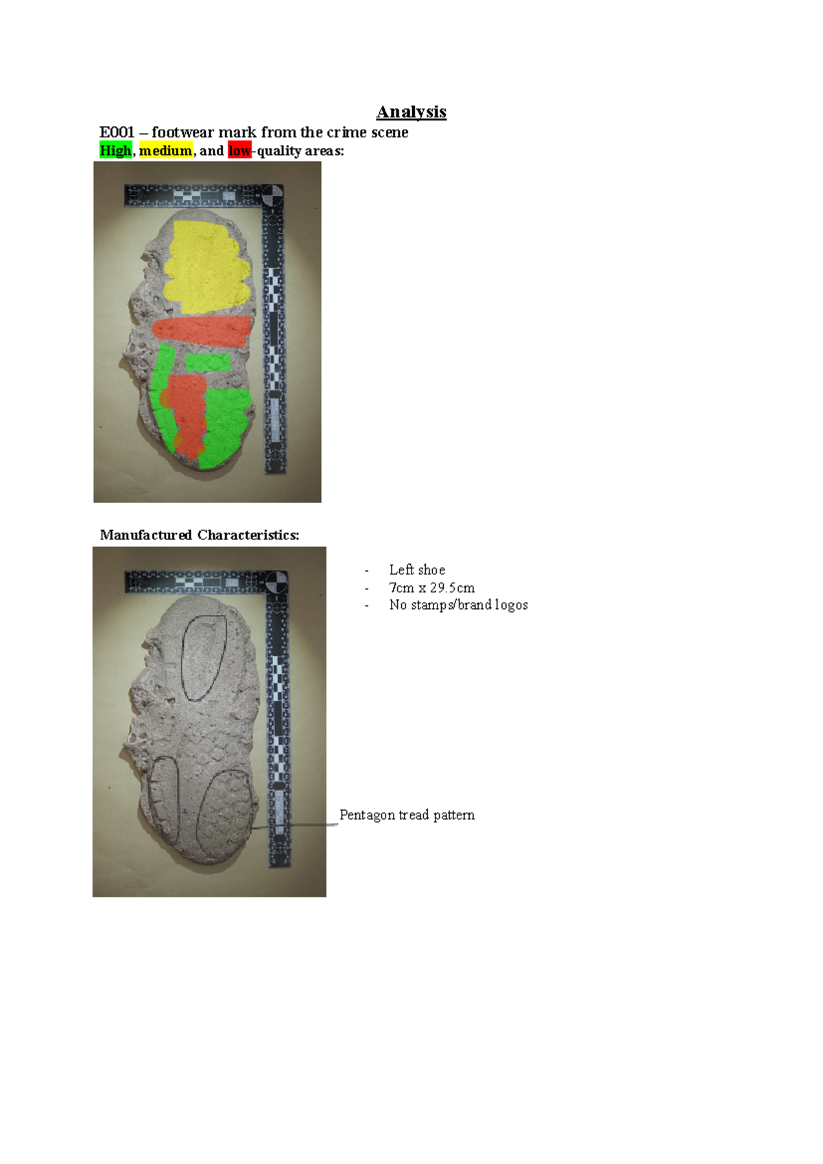 Footwear ACE-V - Comparison Charts and Evaluation of Footmarks ...