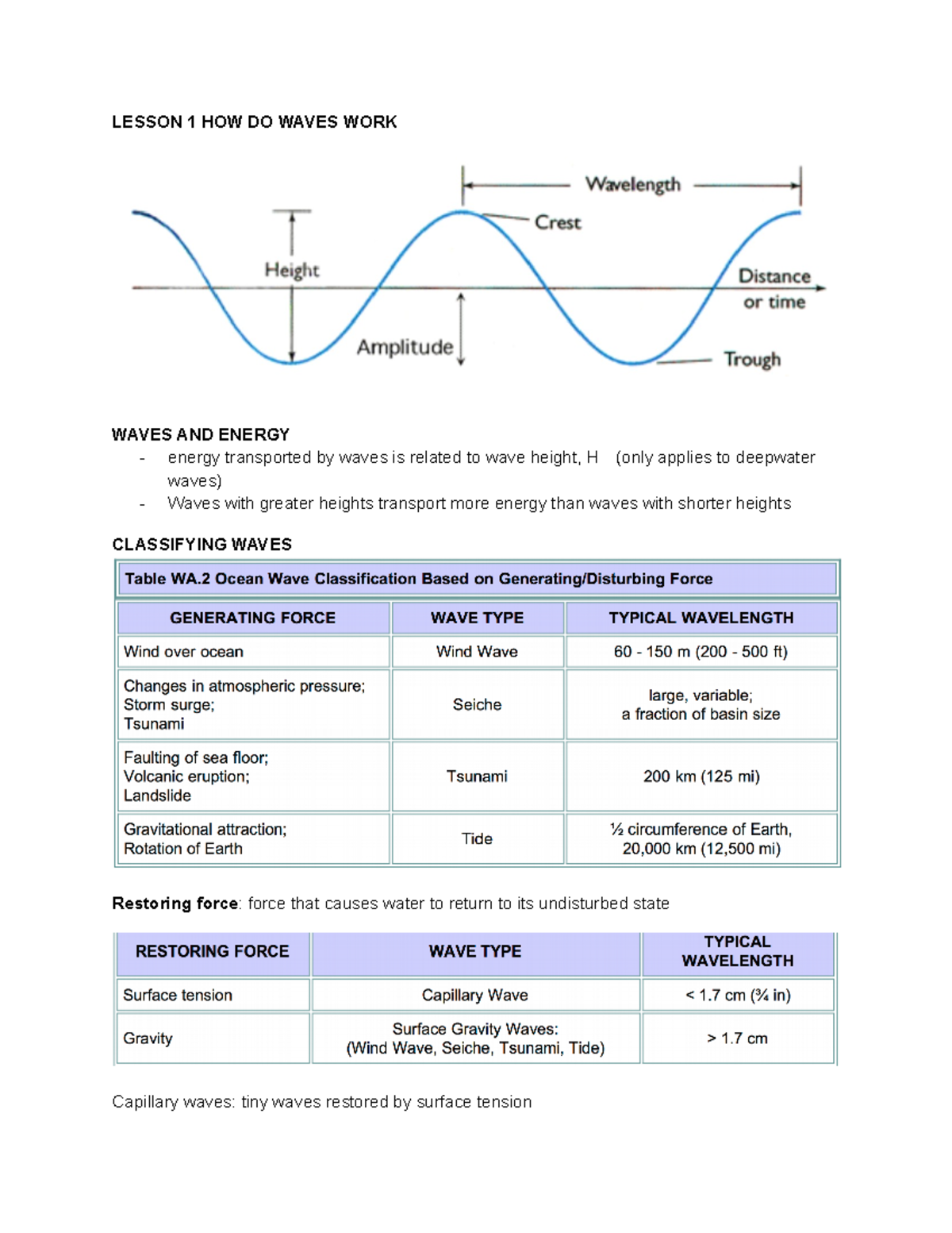 THE Violent Ocean Waves AND Tsunami LESSON 1 HOW DO WAVES WORK