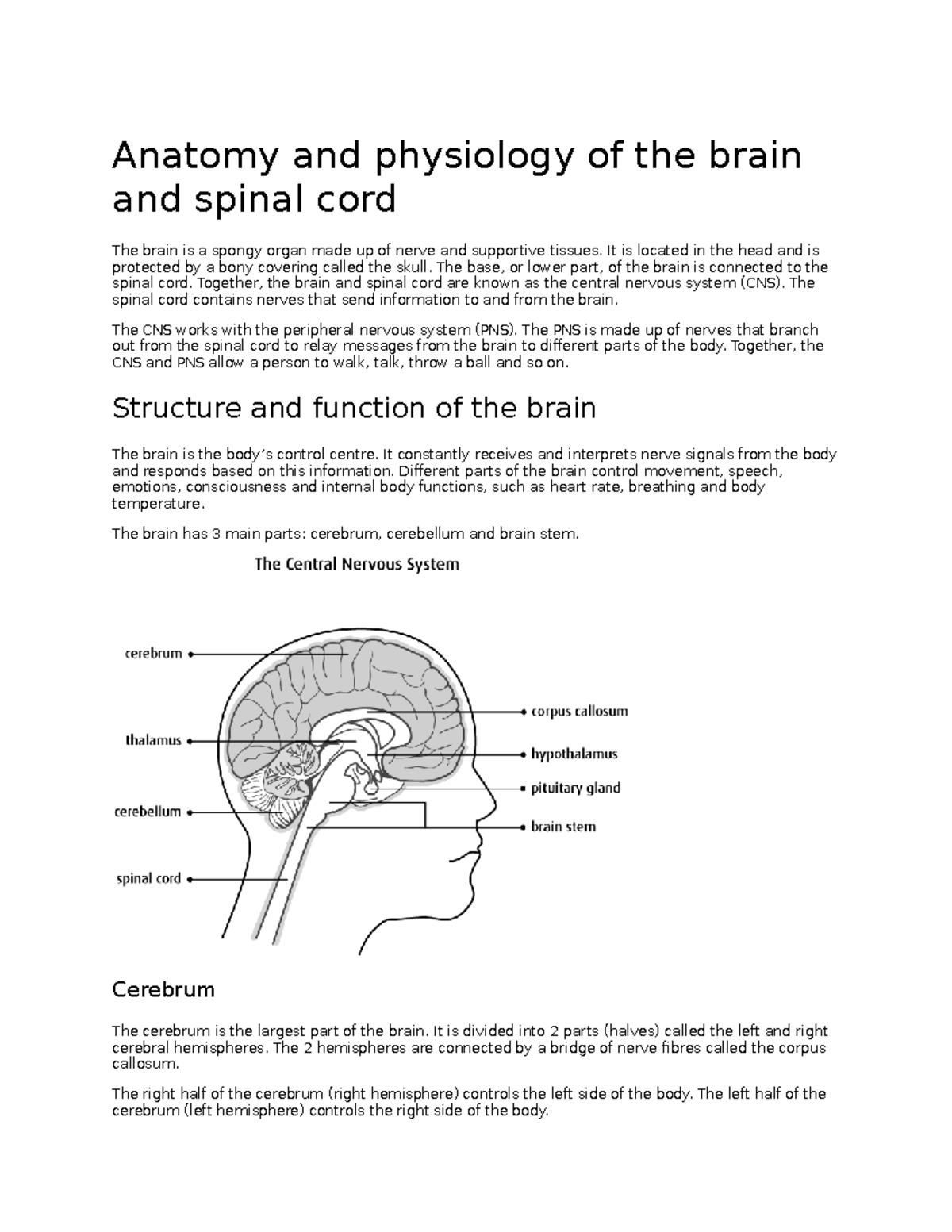 305557094 Anatomy and Physiology of the Brain and Spinal Cord - Anatomy ...