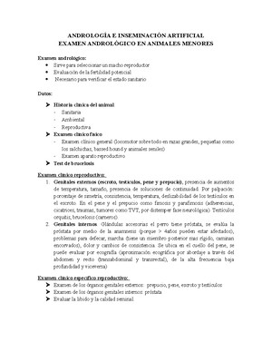 examen andrológico de próstata