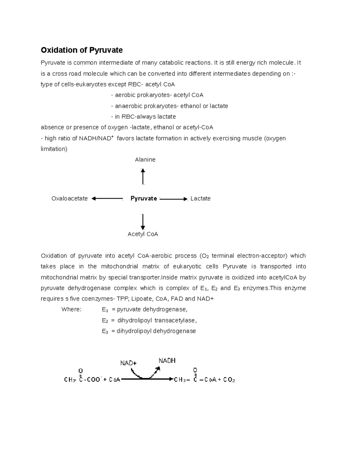 Unlocking Cellular Respiration: The Location Of Pyruvate Oxidation - 49p41dh