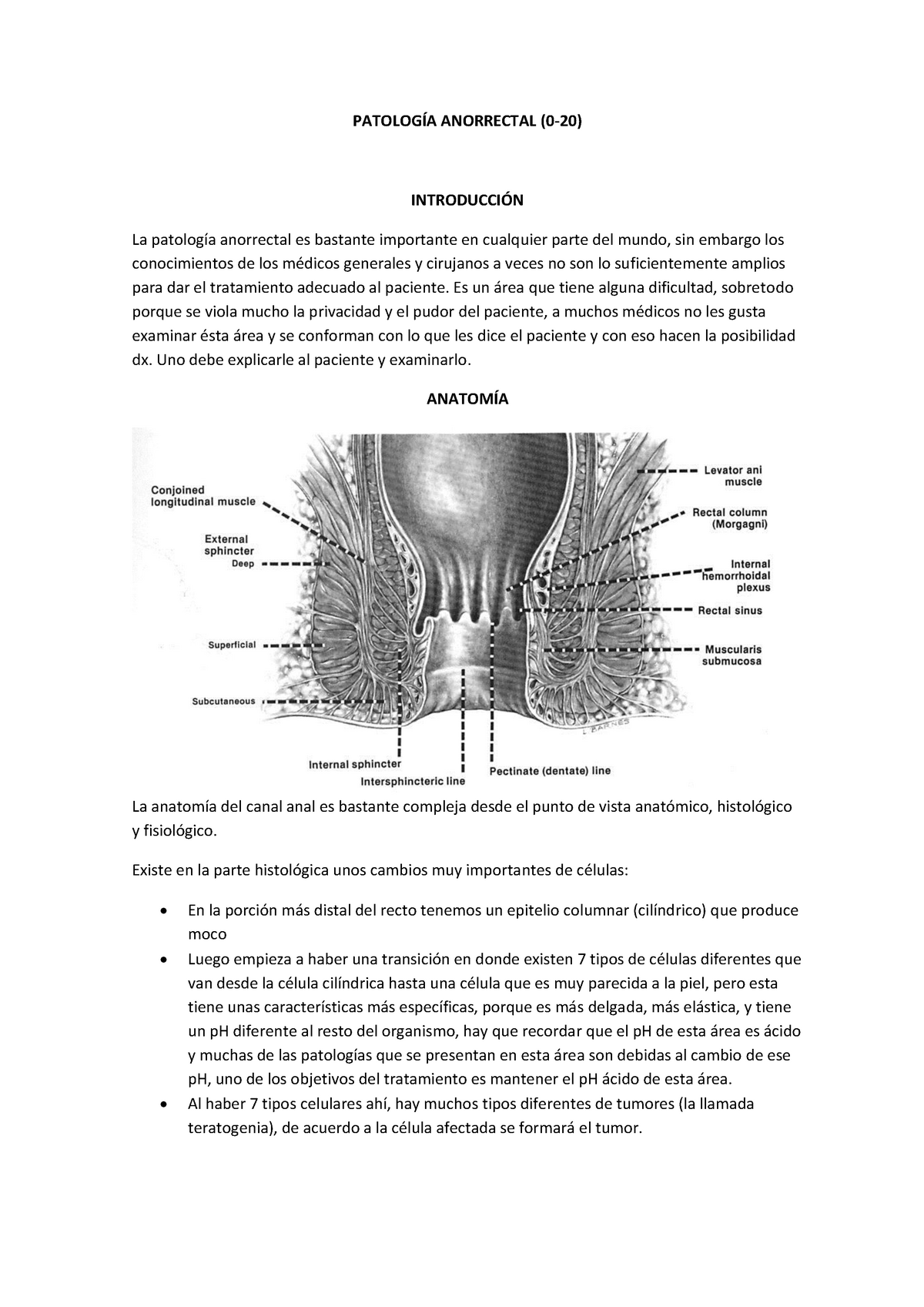 Patología Anorrectal Resumen Clínica Quirúrgica Anorrectal La Anorrectal Es Bastante 5267