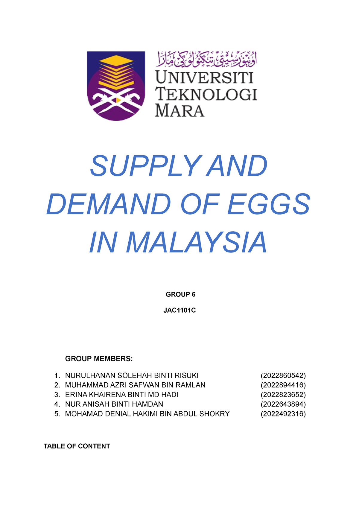 eco162 group assignment market equilibrium