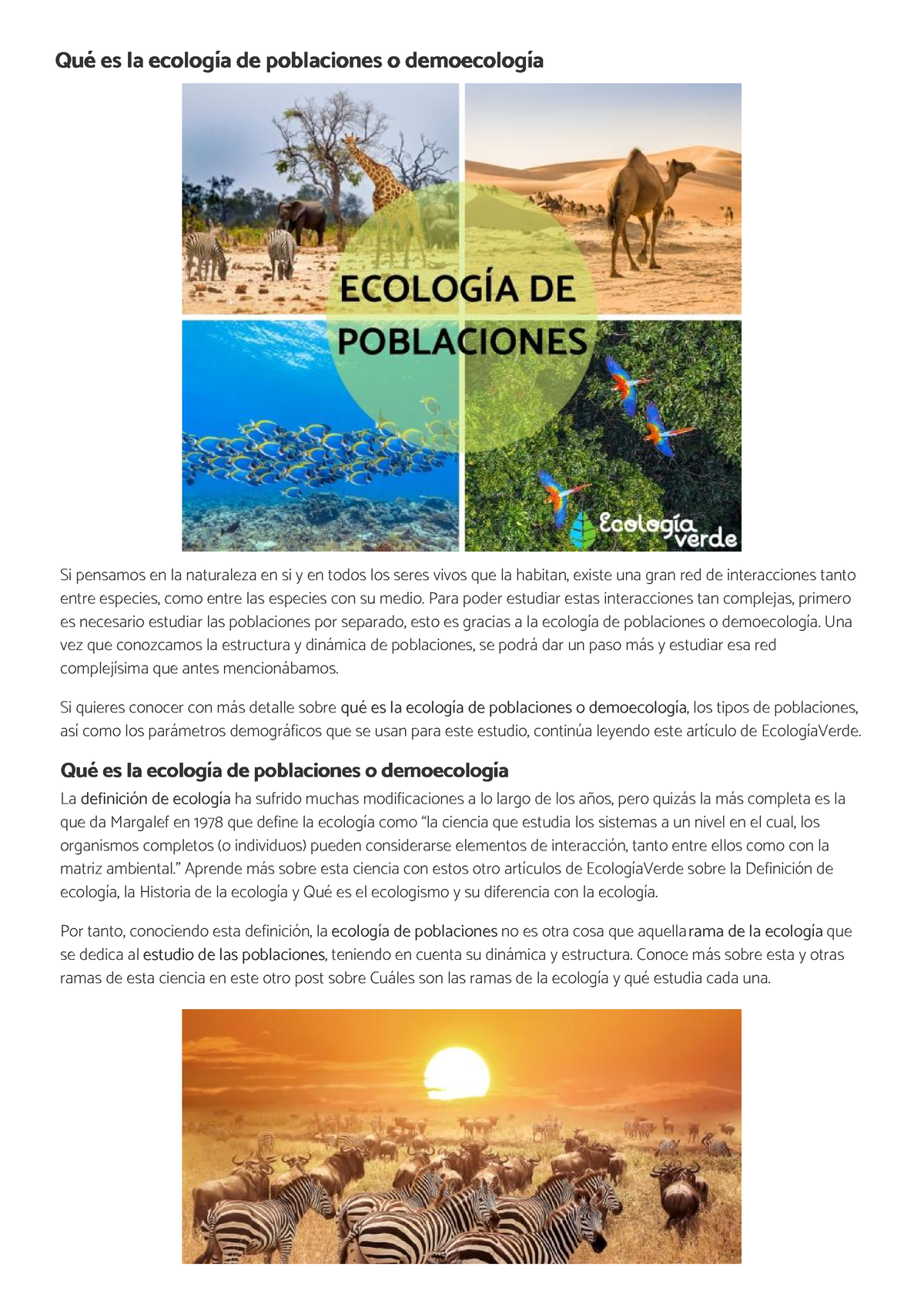 Qué Es La Ecología De Poblaciones O Demoecología - Ecologiaverde - Qué ...