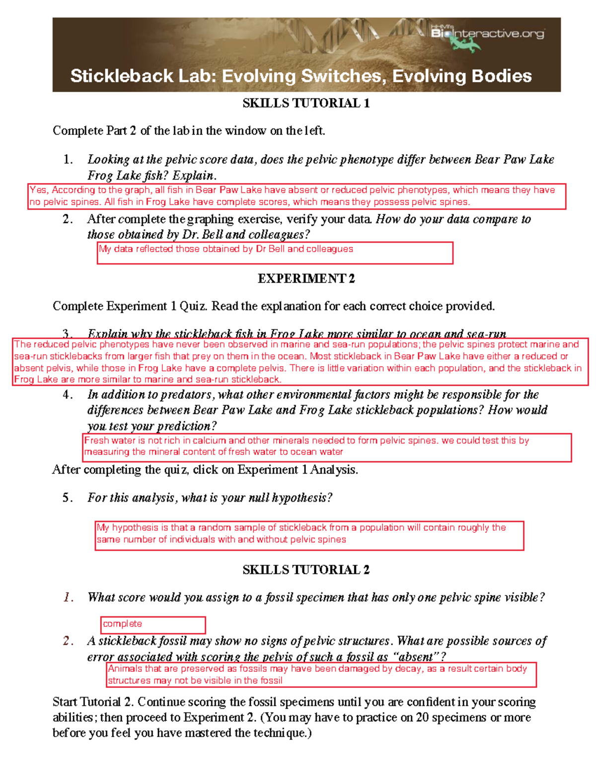 The Double Helix Biointeractive Film Activity Student Handout Answer Key