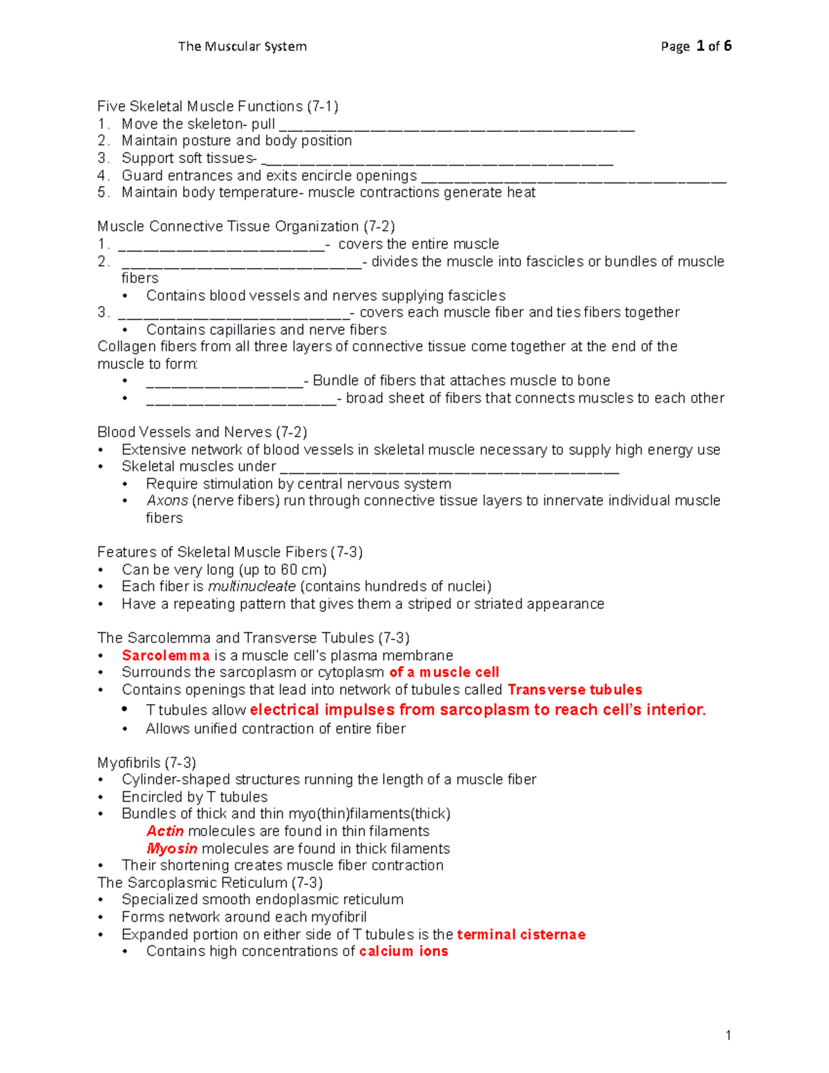 Chapter 7, Part 1 - Muscle Physiology - The Muscular System Page 1 of 6 ...